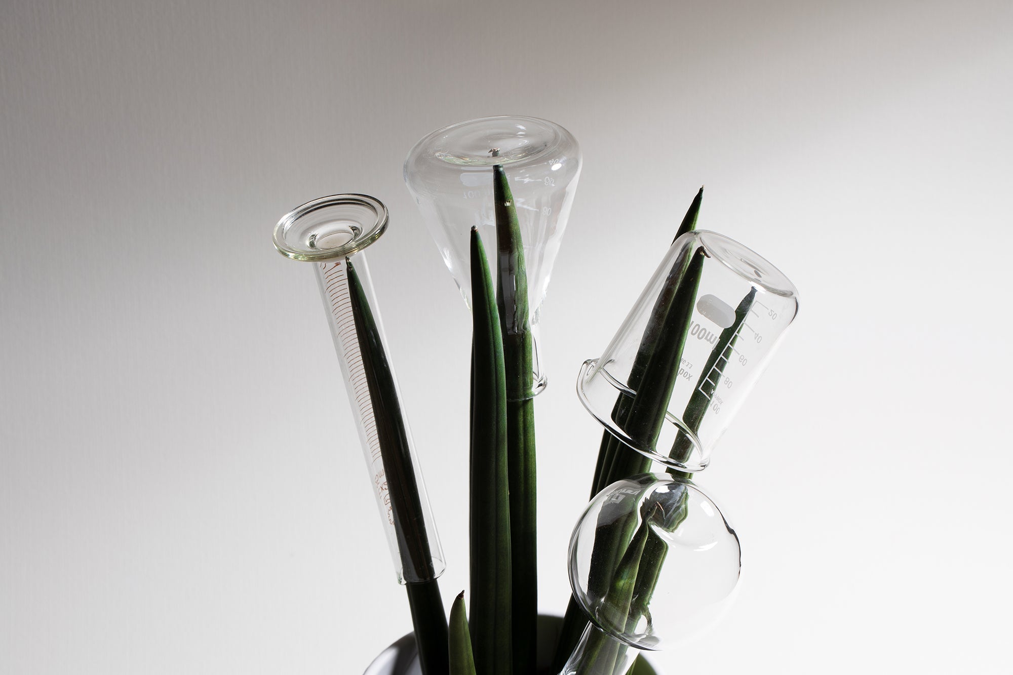 Things you need to know about botanical perfumes